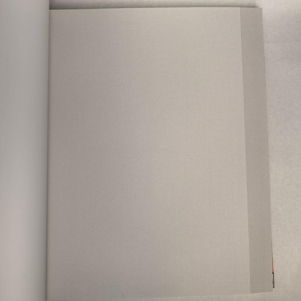 Andrea Rossi Berggi 54448-2