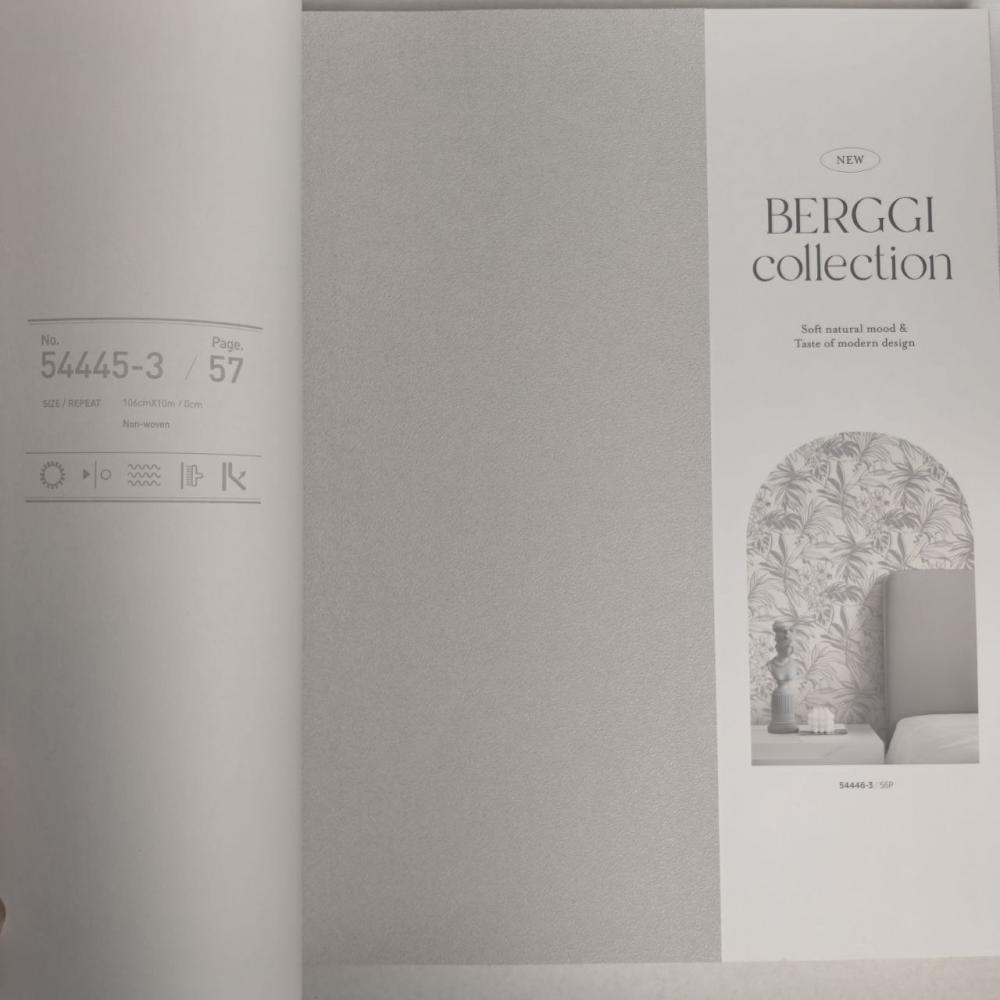 Andrea Rossi Berggi 54445-4